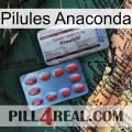 Anaconda Pills 36